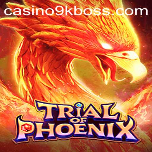 Trial of Phoenix: A Comprehensive Look at the 9KBOSS Challenge